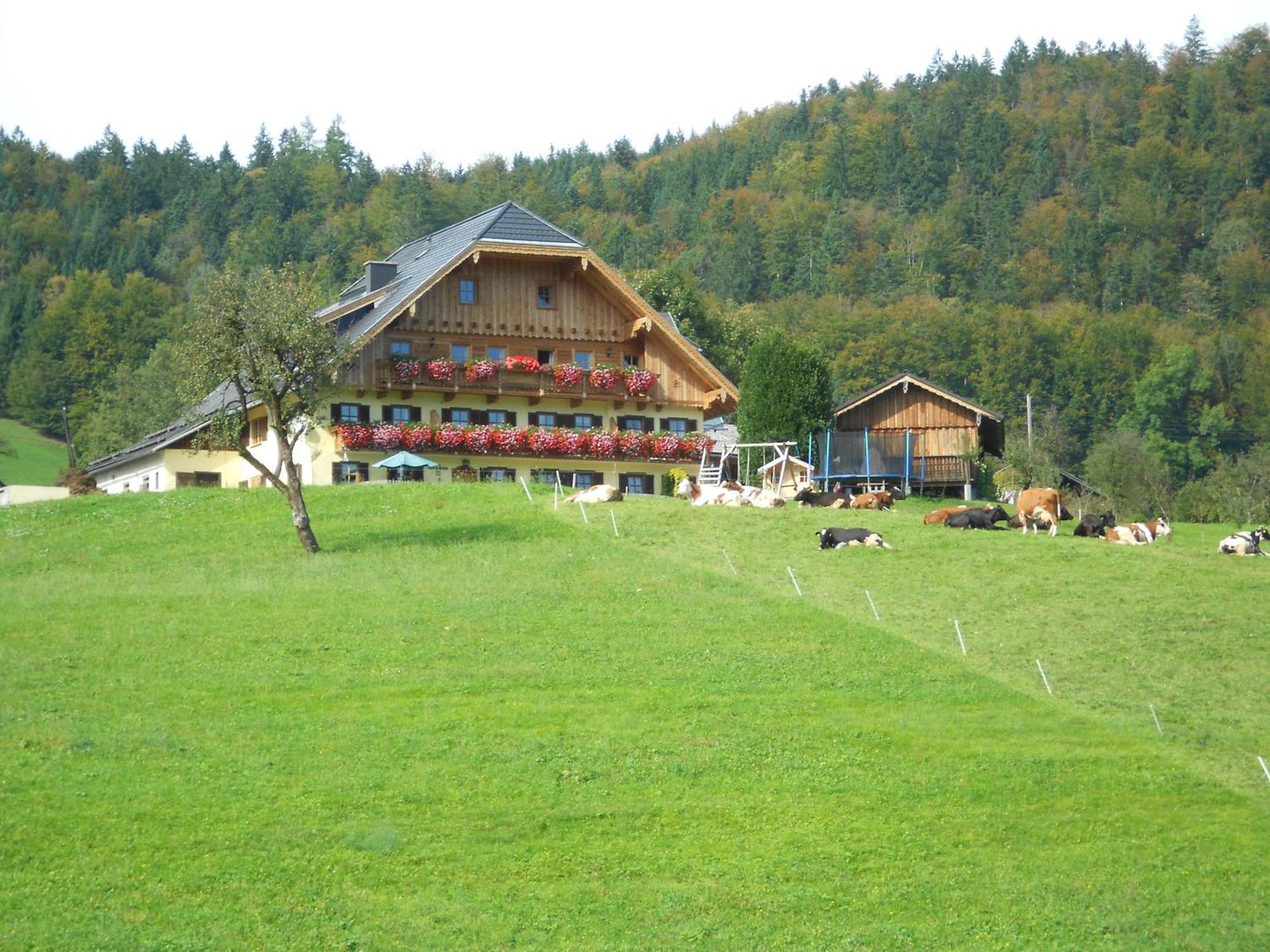Paulbauer Villa Saint Wolfgang Buitenkant foto